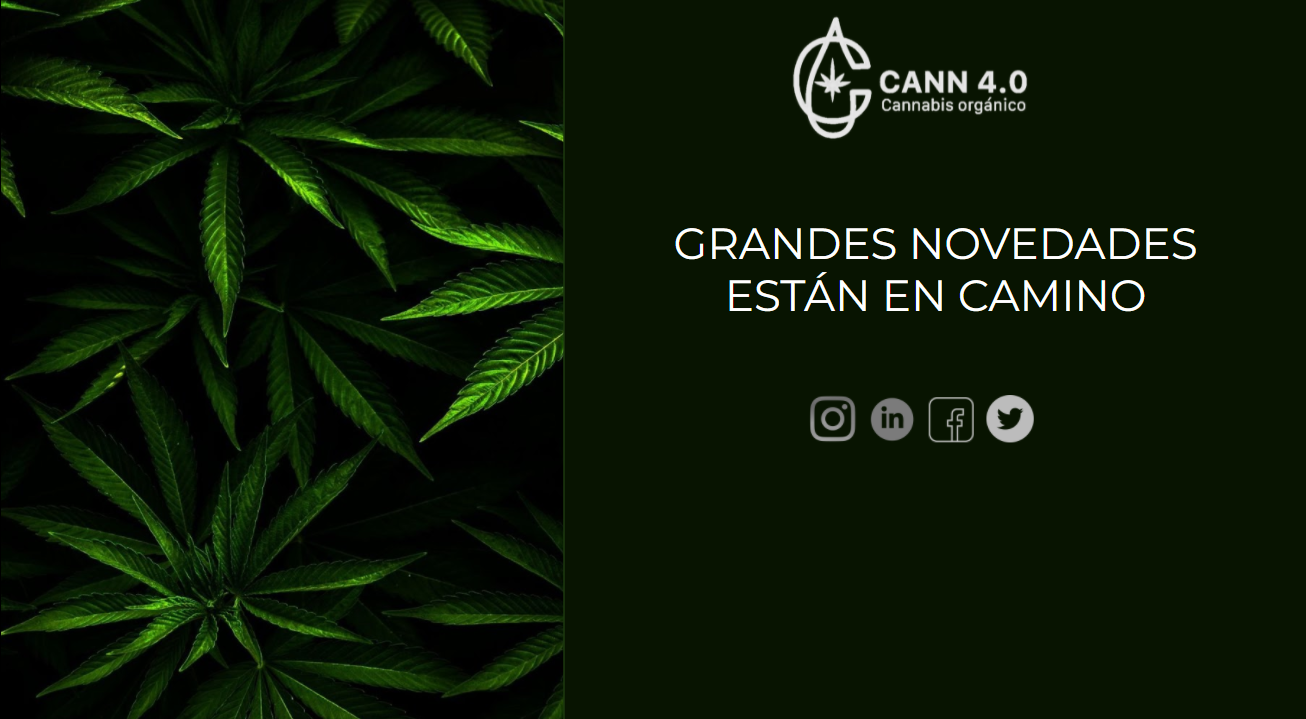 Interfaz de usuario gr�fica

Descripci�n generada autom�ticamente